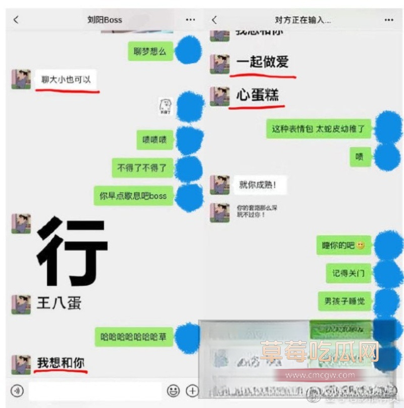 刘阳出轨半藏森林 47