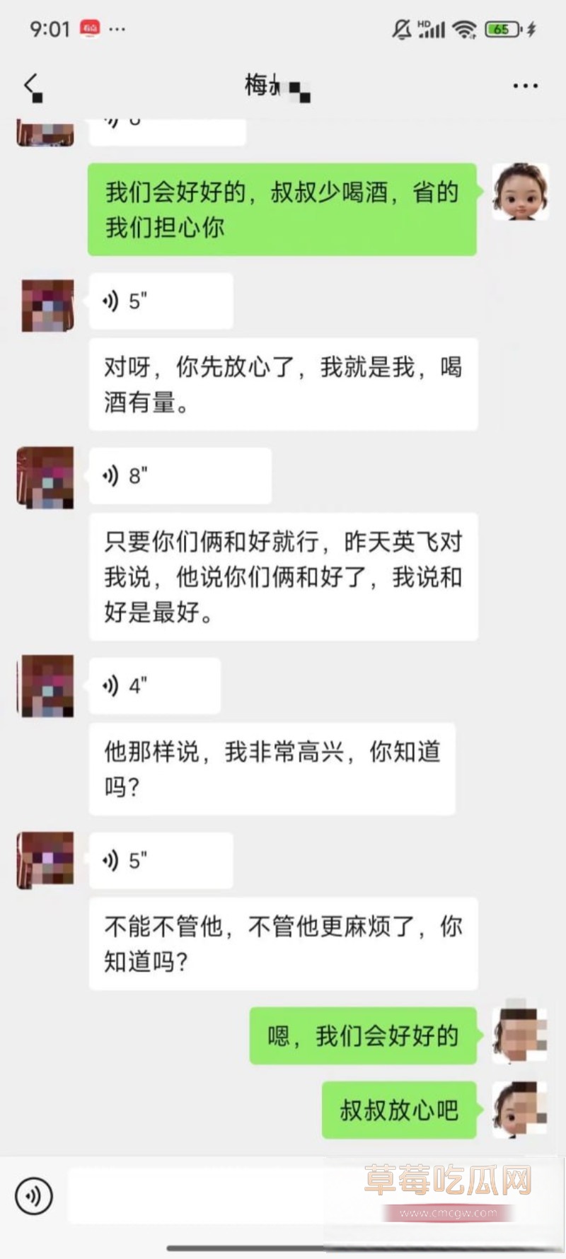 梅九亮 1 梅九亮 1