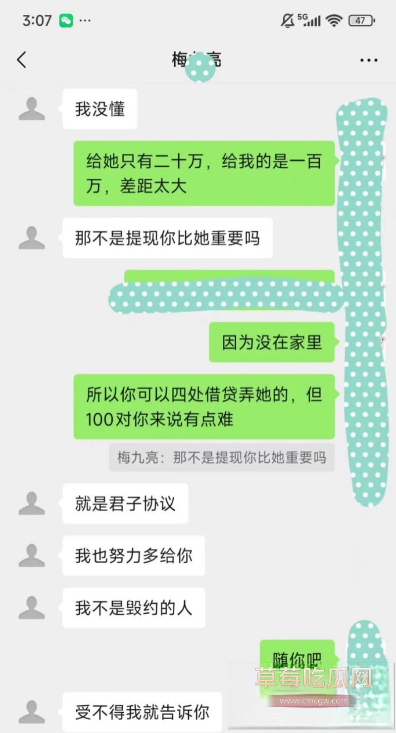 梅九亮 24 梅九亮 24