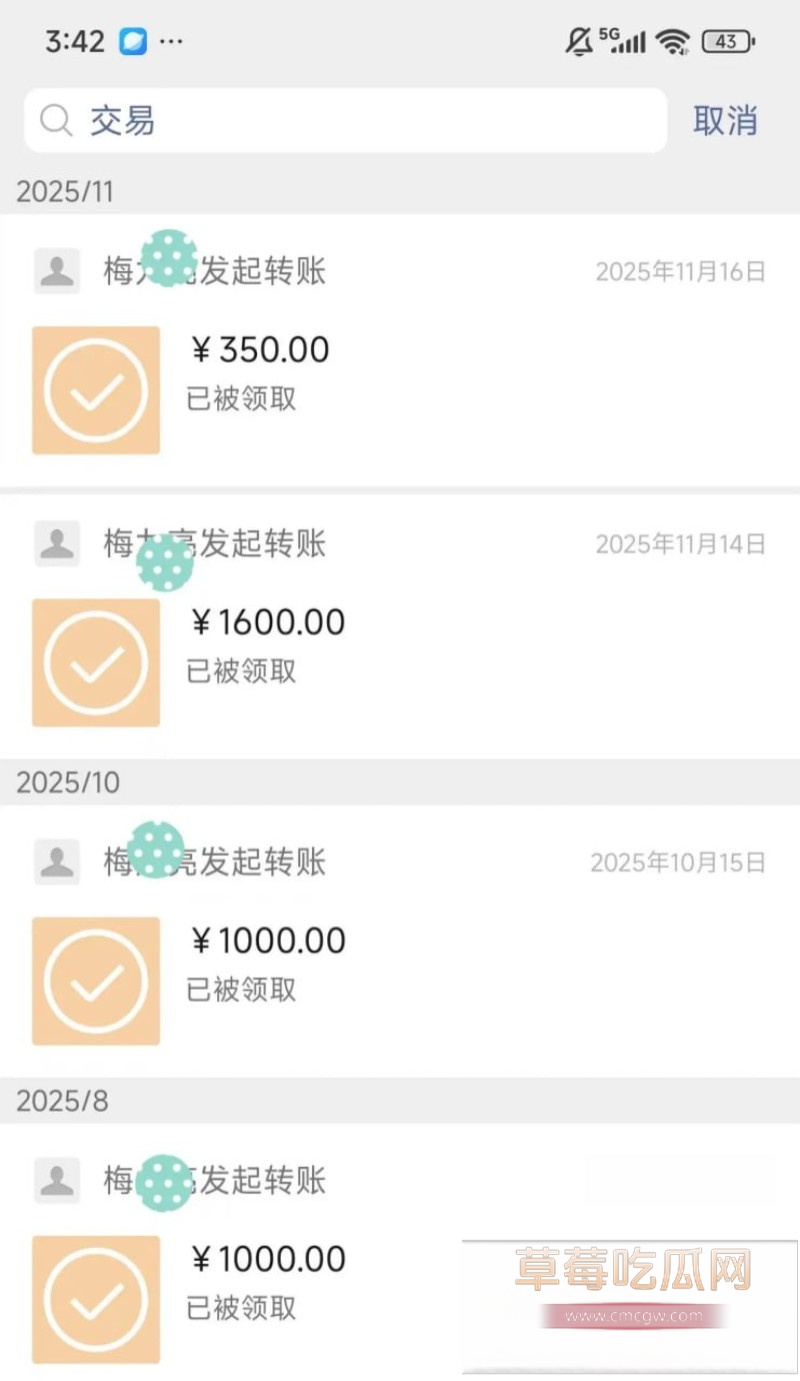 梅九亮 41 梅九亮 41