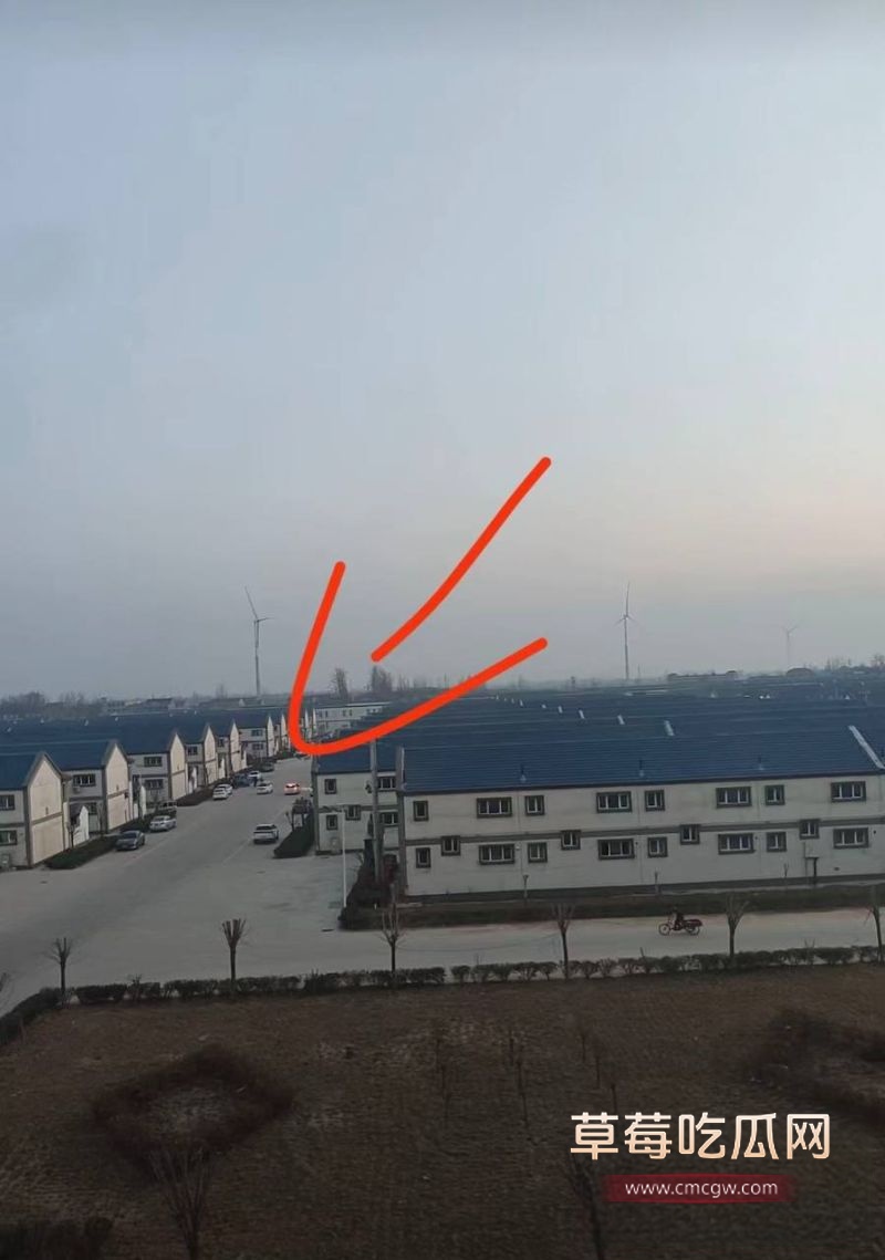 山东菏泽单县张集出轨事件8