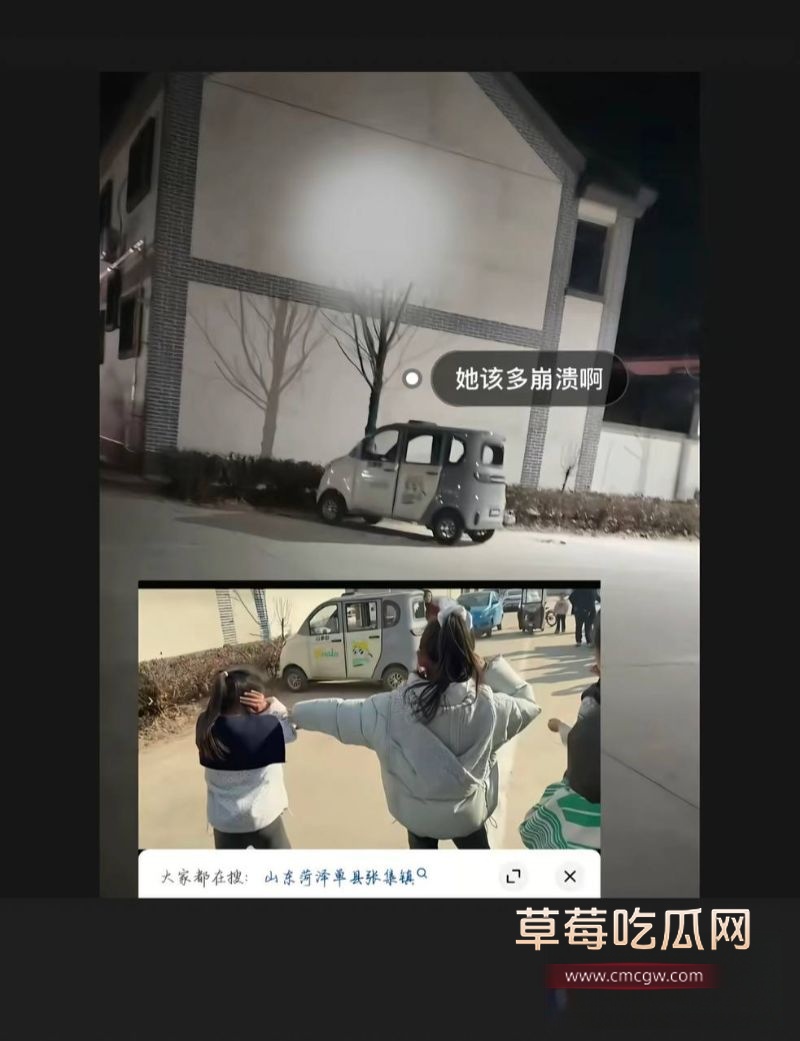 原配站车顶上骂狗男女4