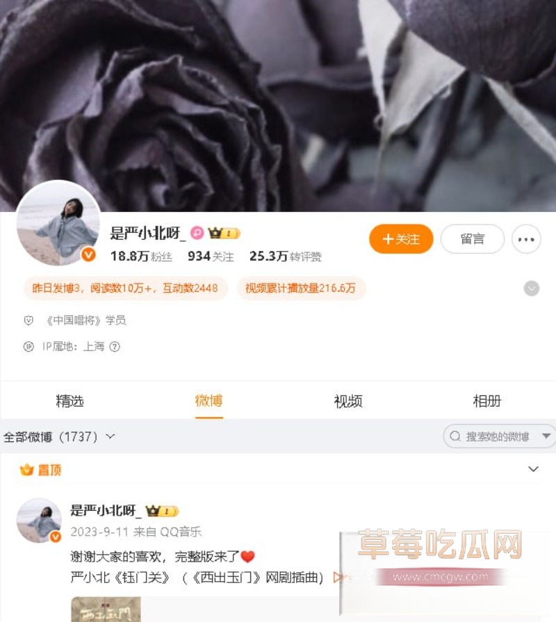 严中杰19 严中杰19