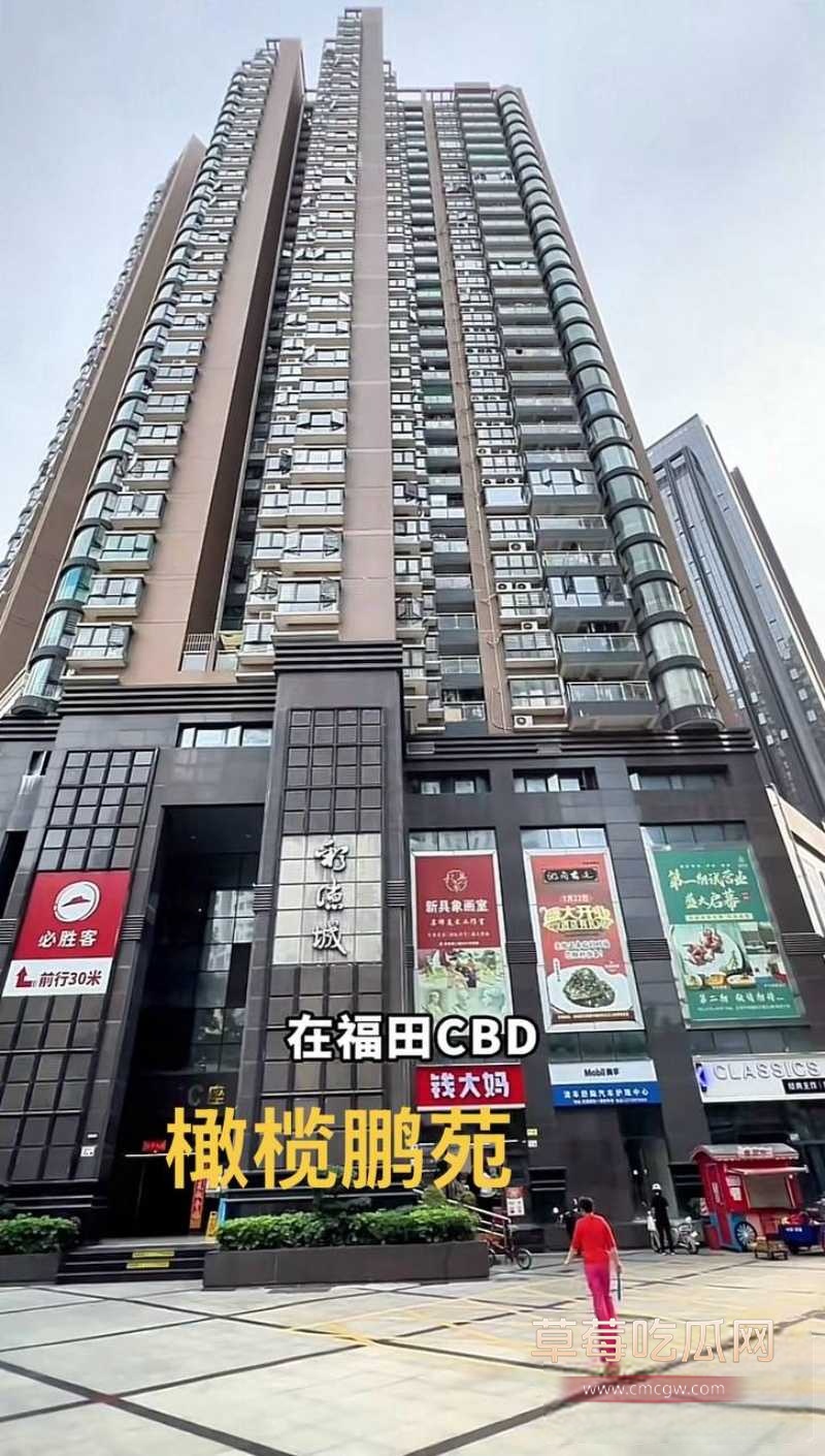 徐景平 28