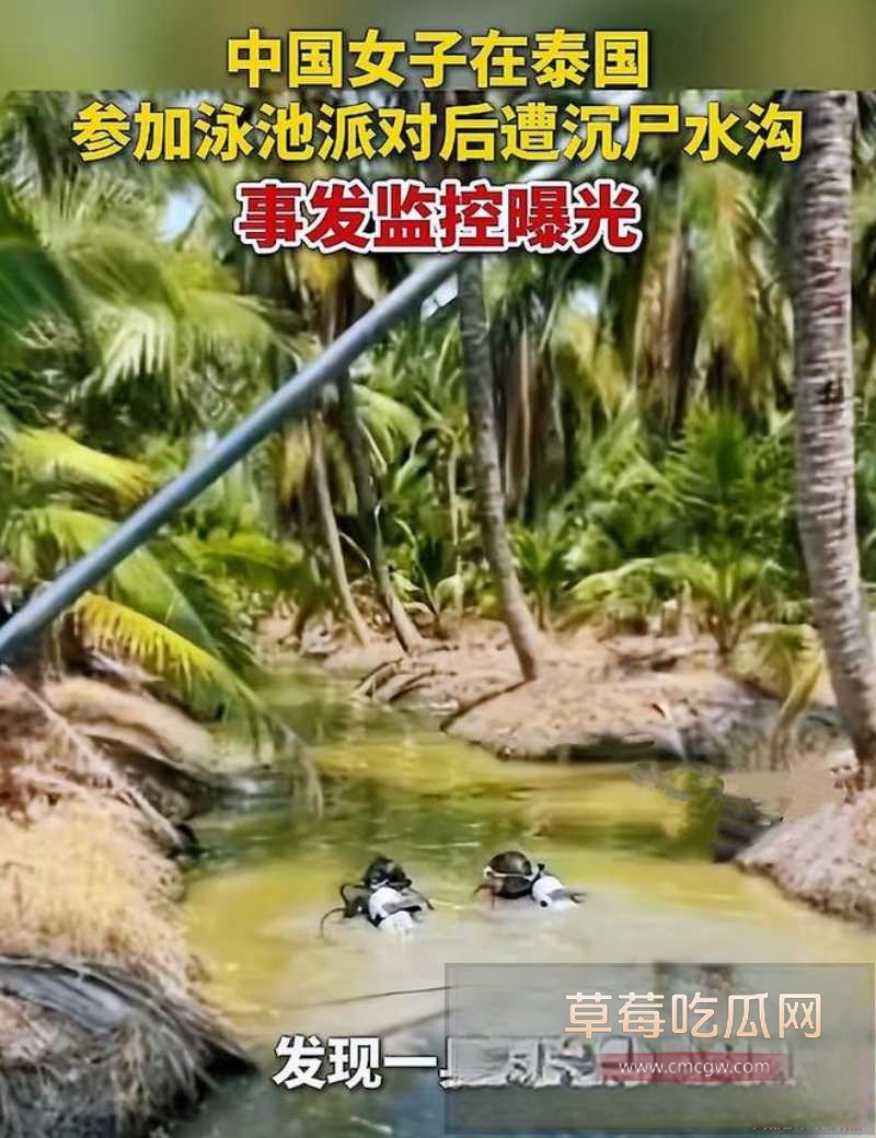 安徽美女在泰国参加完泳池派对后 被中国男同胞迷晕拖走 27 安徽美女在泰国参加完泳池派对后 被中国男同胞迷晕拖走 27