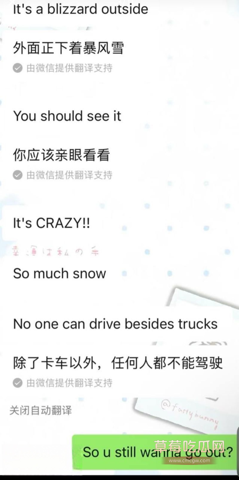 浙江女和老外的聊天记录4