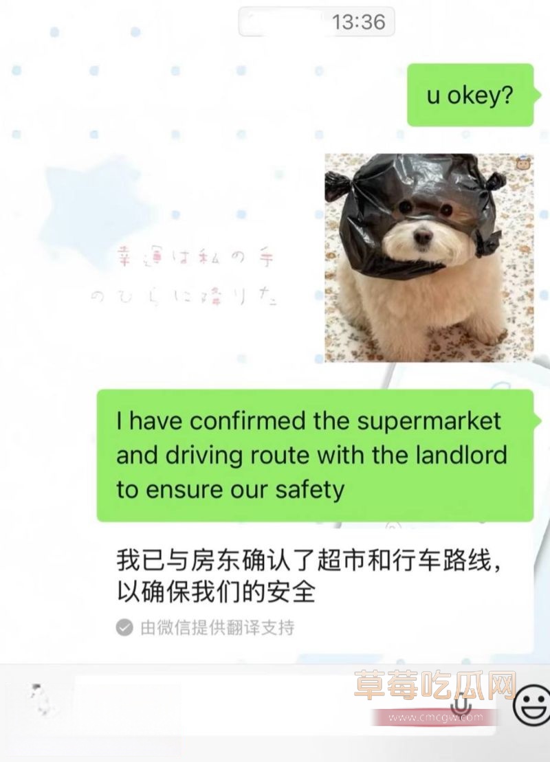 浙江女和老外的聊天记录10