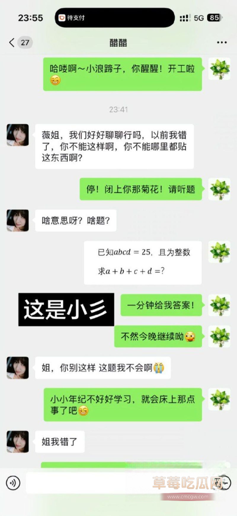 90后东北女孩 怀孕6月遭小三张甜茜刺激1 90后东北女孩 怀孕6月遭小三张甜茜刺激1