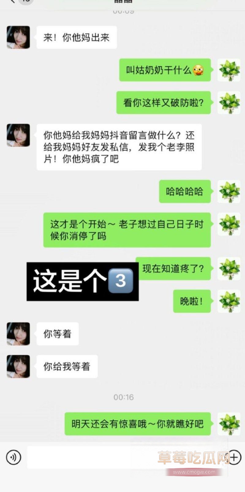 90后东北女孩 怀孕6月遭小三张甜茜刺激3 90后东北女孩 怀孕6月遭小三张甜茜刺激3