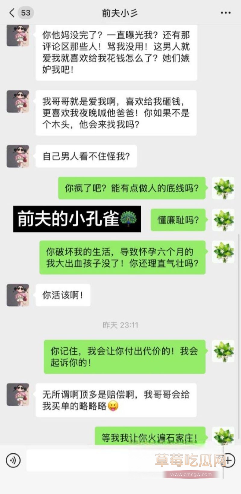 90后东北女孩 怀孕6月遭小三张甜茜刺激13 90后东北女孩 怀孕6月遭小三张甜茜刺激13