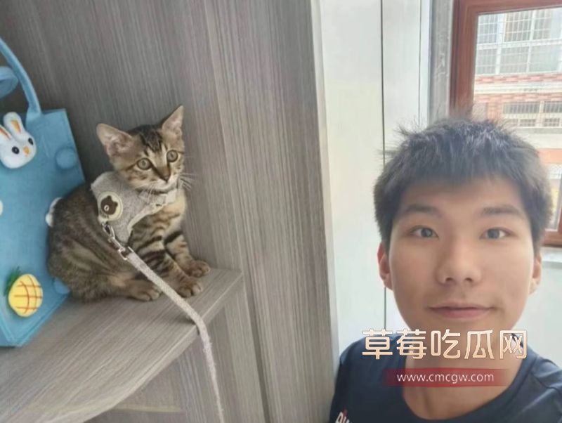 评论区的网友评论1