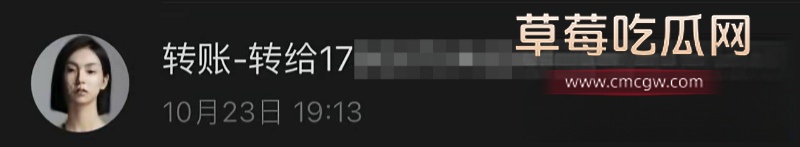 抖音网红 周辰辰 17