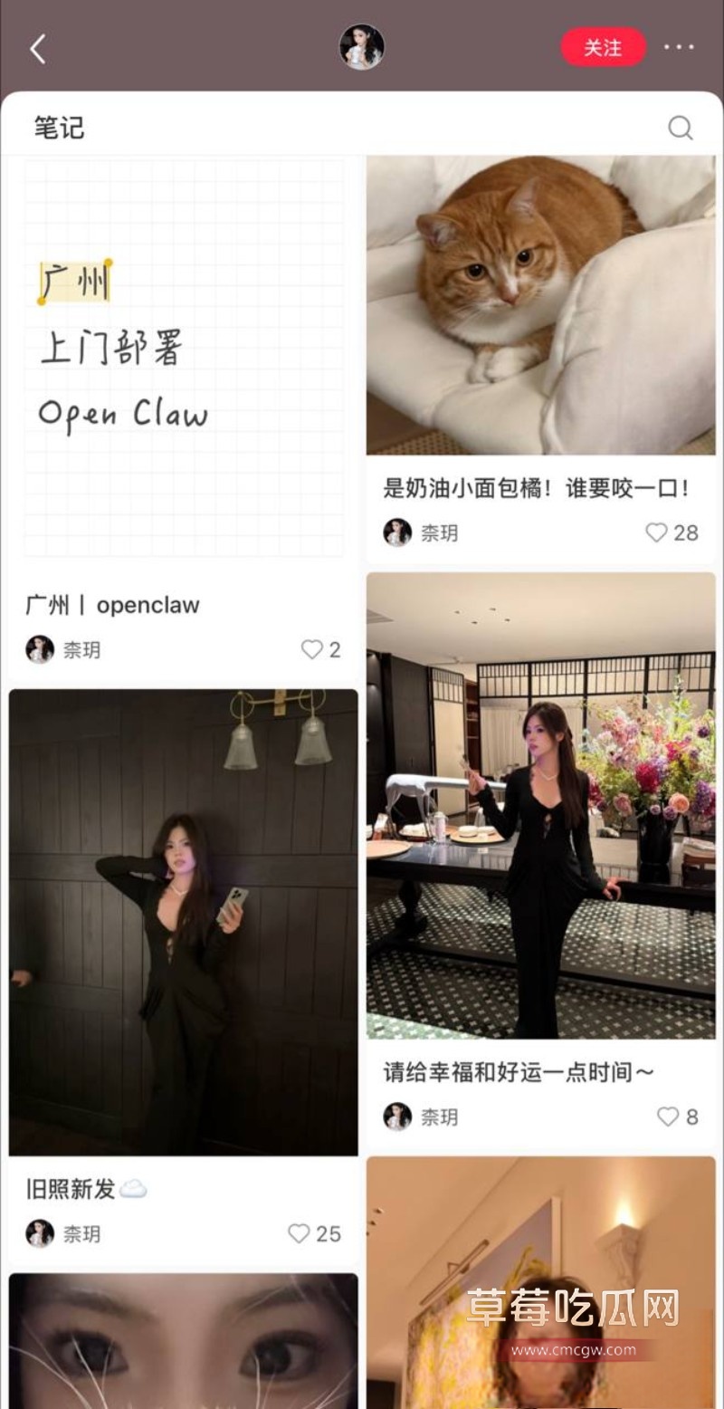 小龙虾17 小龙虾17