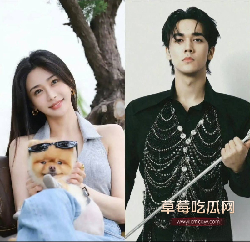 中国好声音选手 陈冰 24 中国好声音选手 陈冰 24