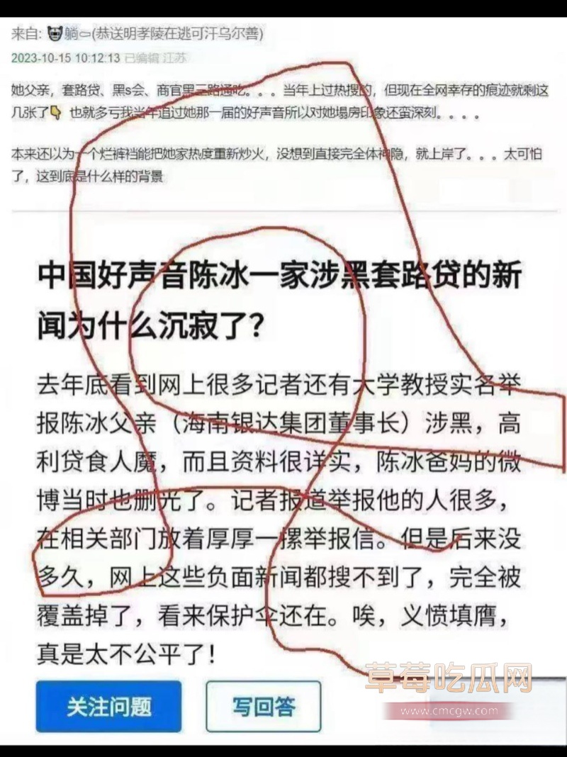 中国好声音选手 陈冰 43 中国好声音选手 陈冰 43