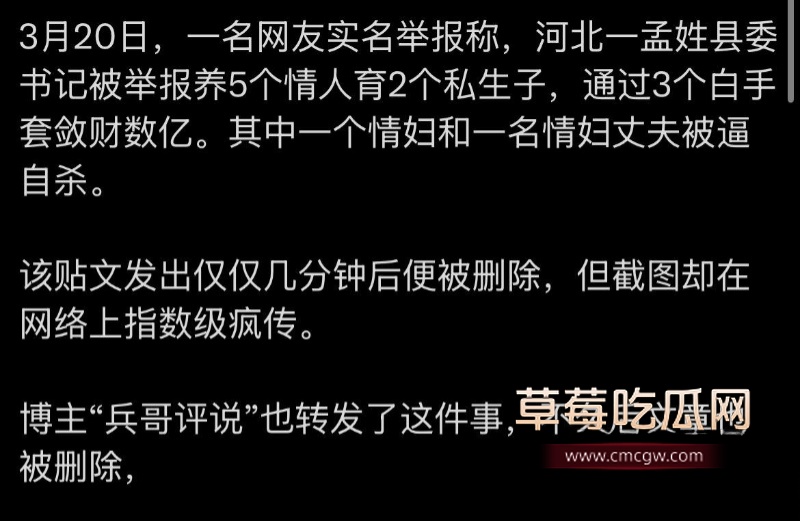 河北临西县委书记孟宪鹏 4 河北临西县委书记孟宪鹏 4