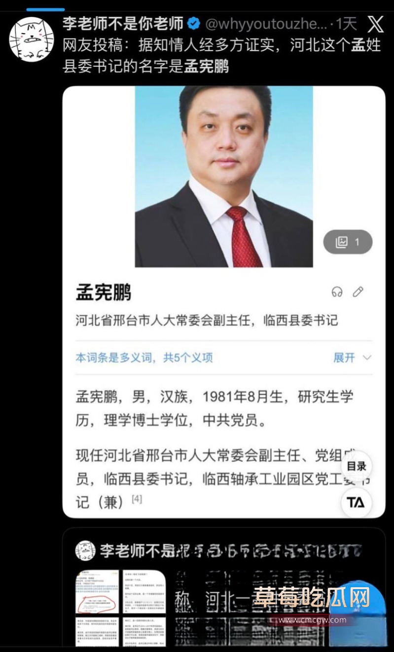 河北临西县委书记孟宪鹏 18 河北临西县委书记孟宪鹏 18
