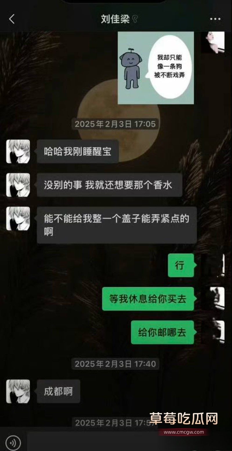 刘佳梁35 刘佳梁35