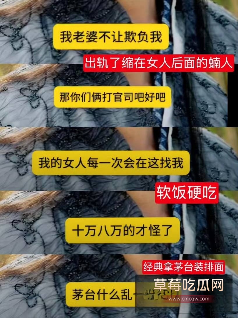 慕容复39 慕容复39