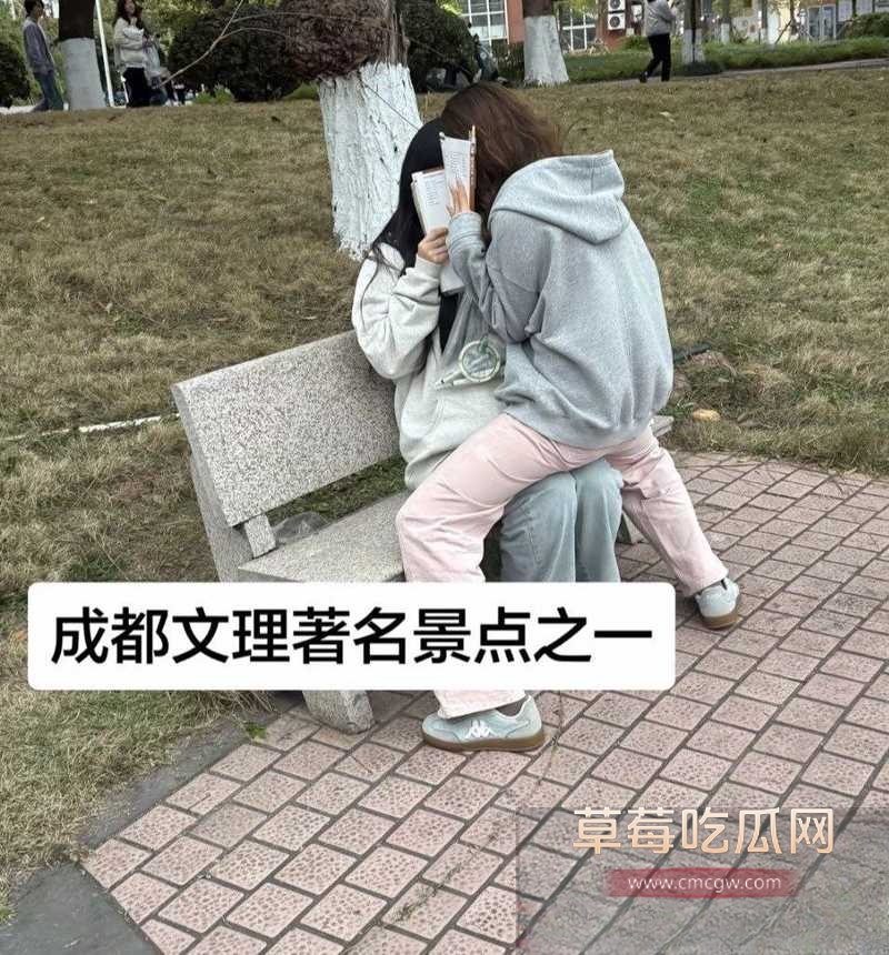 成都文理12 成都文理12