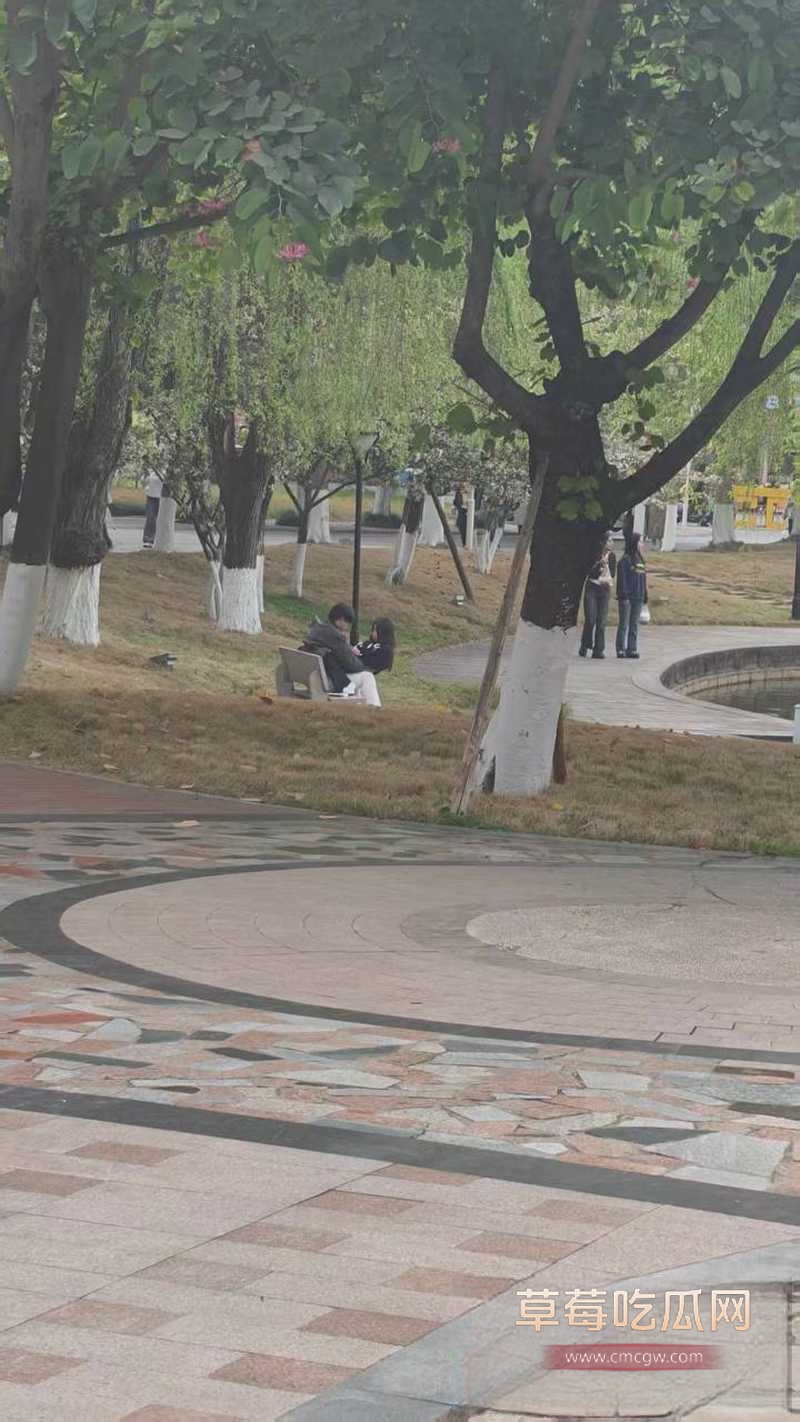 成都文理14 成都文理14