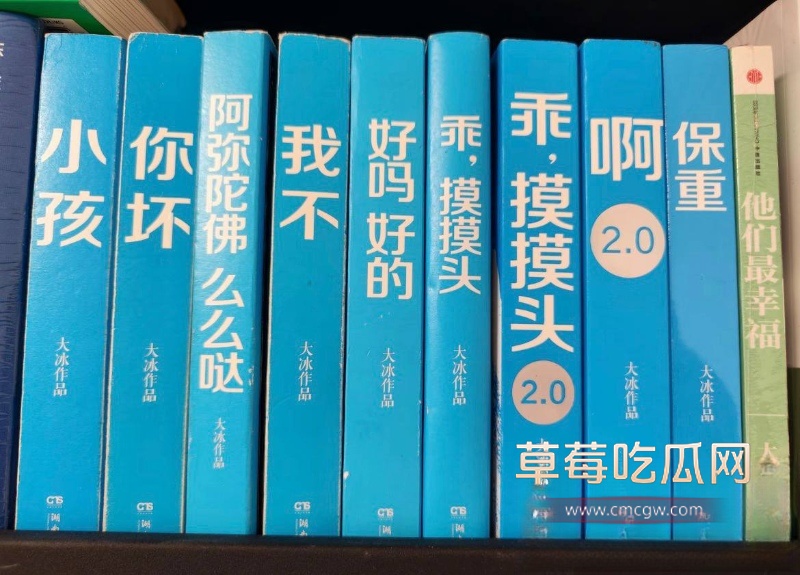 抖音网红人生导师 大冰 35 抖音网红人生导师 大冰 35