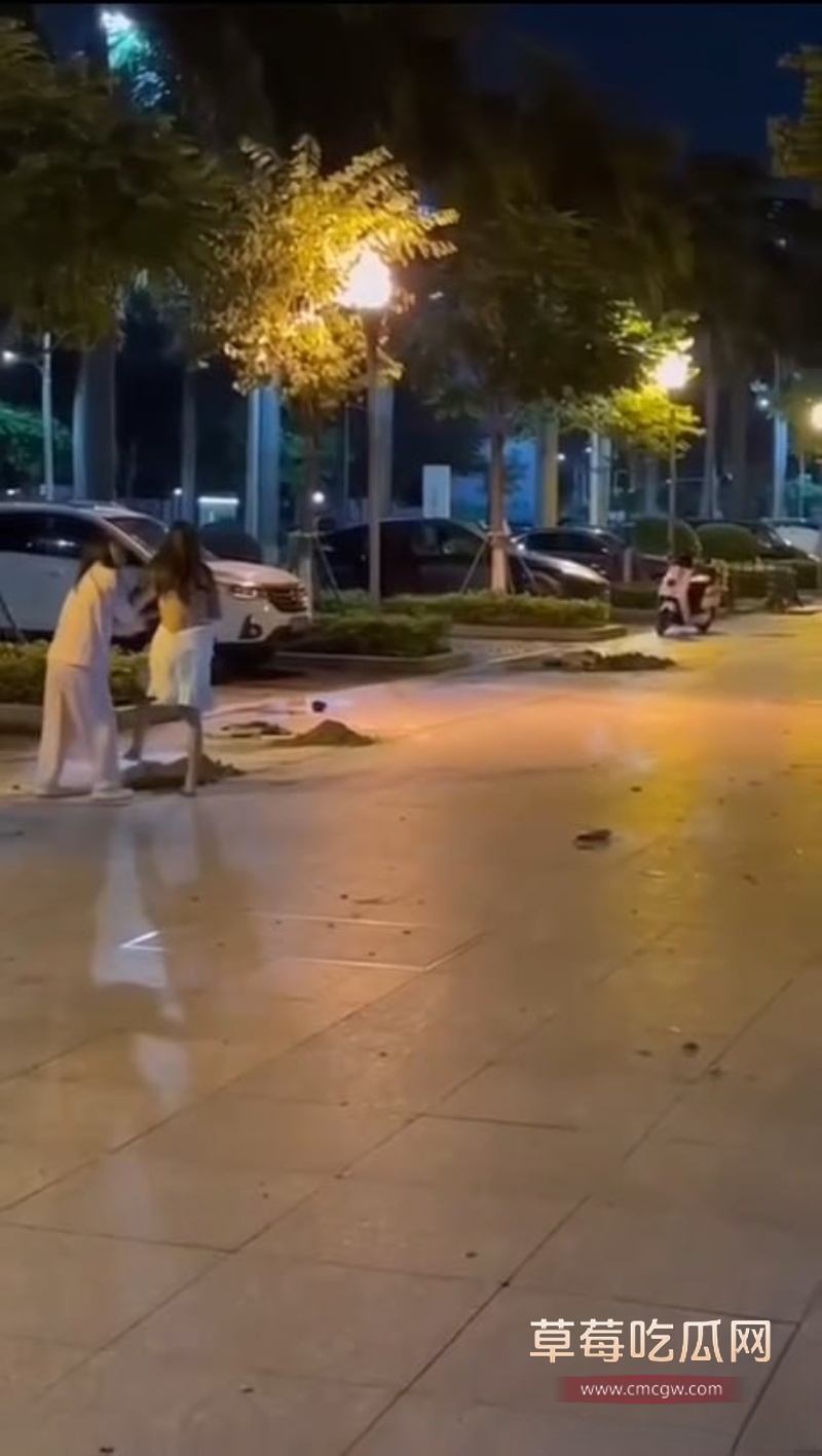 东莞街头抓奸打架 9 东莞街头抓奸打架 9