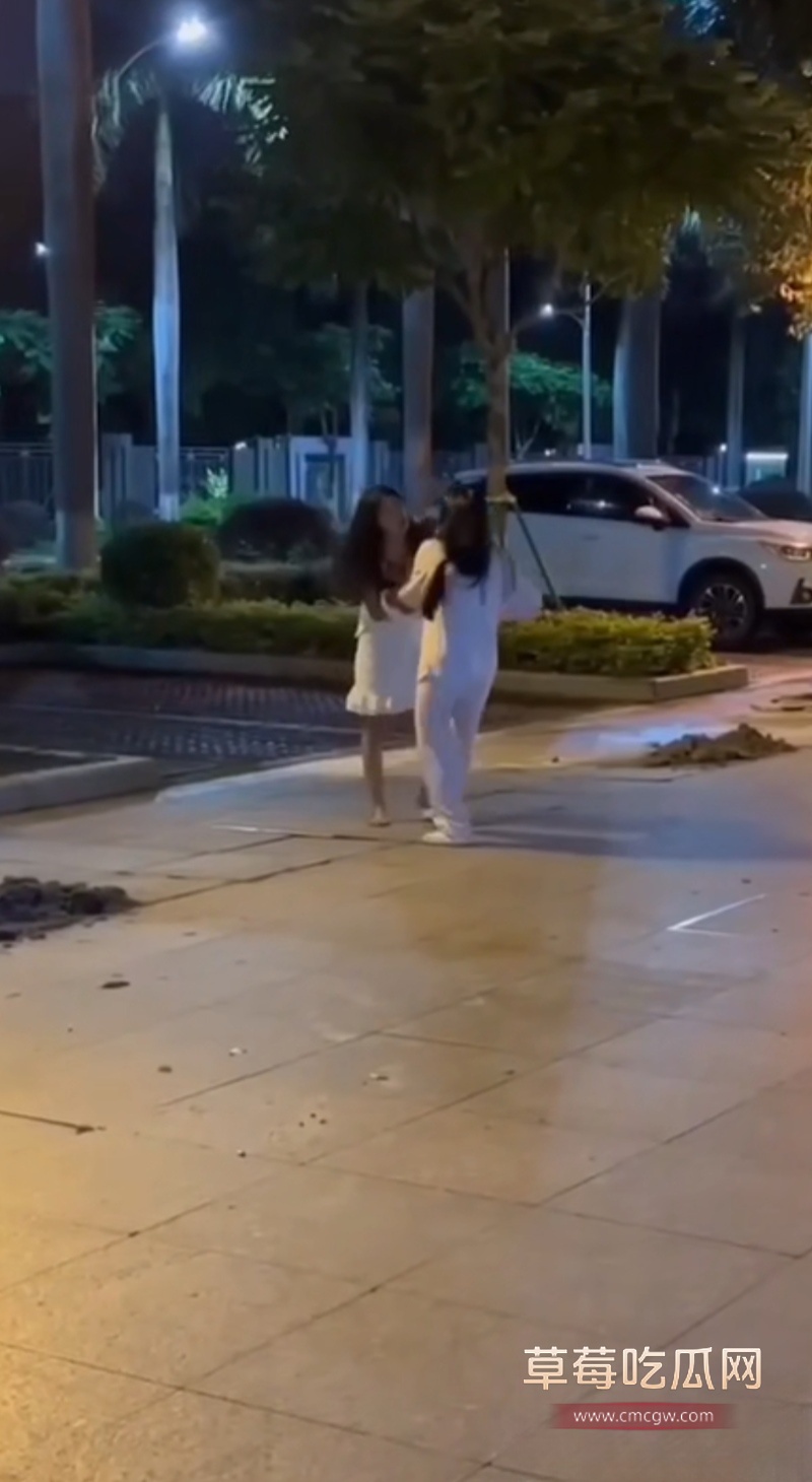东莞街头抓奸打架 1 东莞街头抓奸打架 1