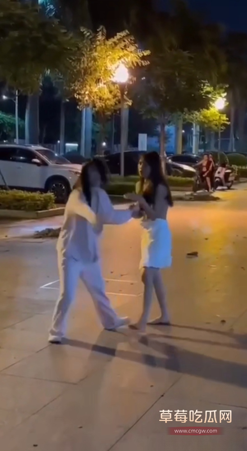 东莞街头抓奸打架 2 东莞街头抓奸打架 2