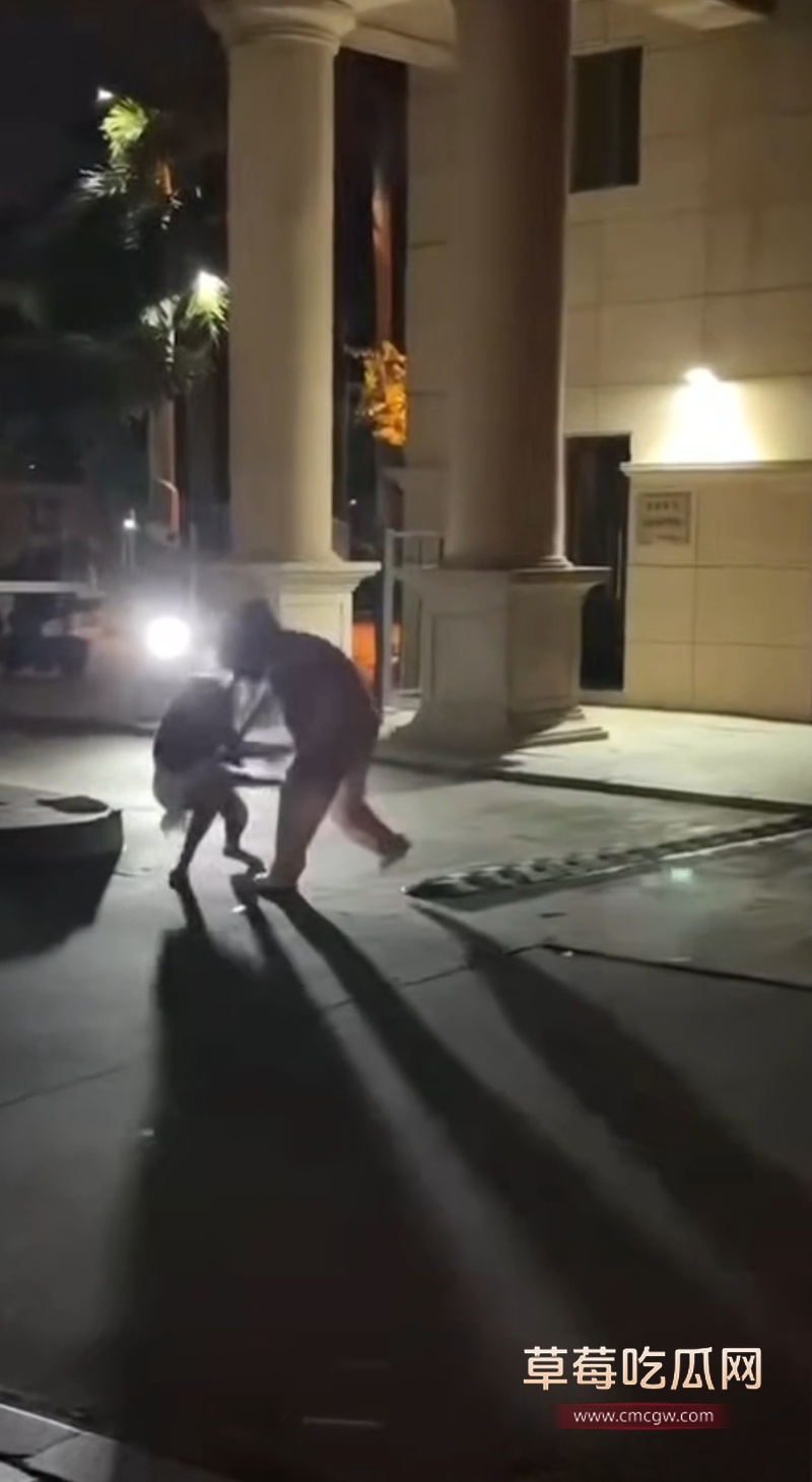 东莞街头抓奸打架 4 东莞街头抓奸打架 4