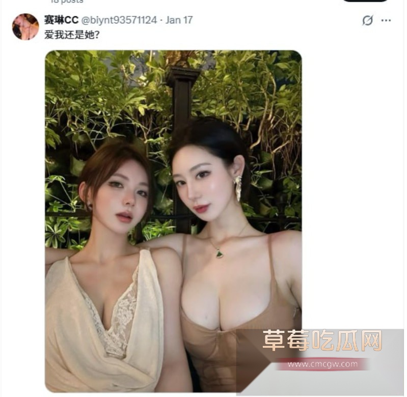 赛琳cc17 赛琳cc17