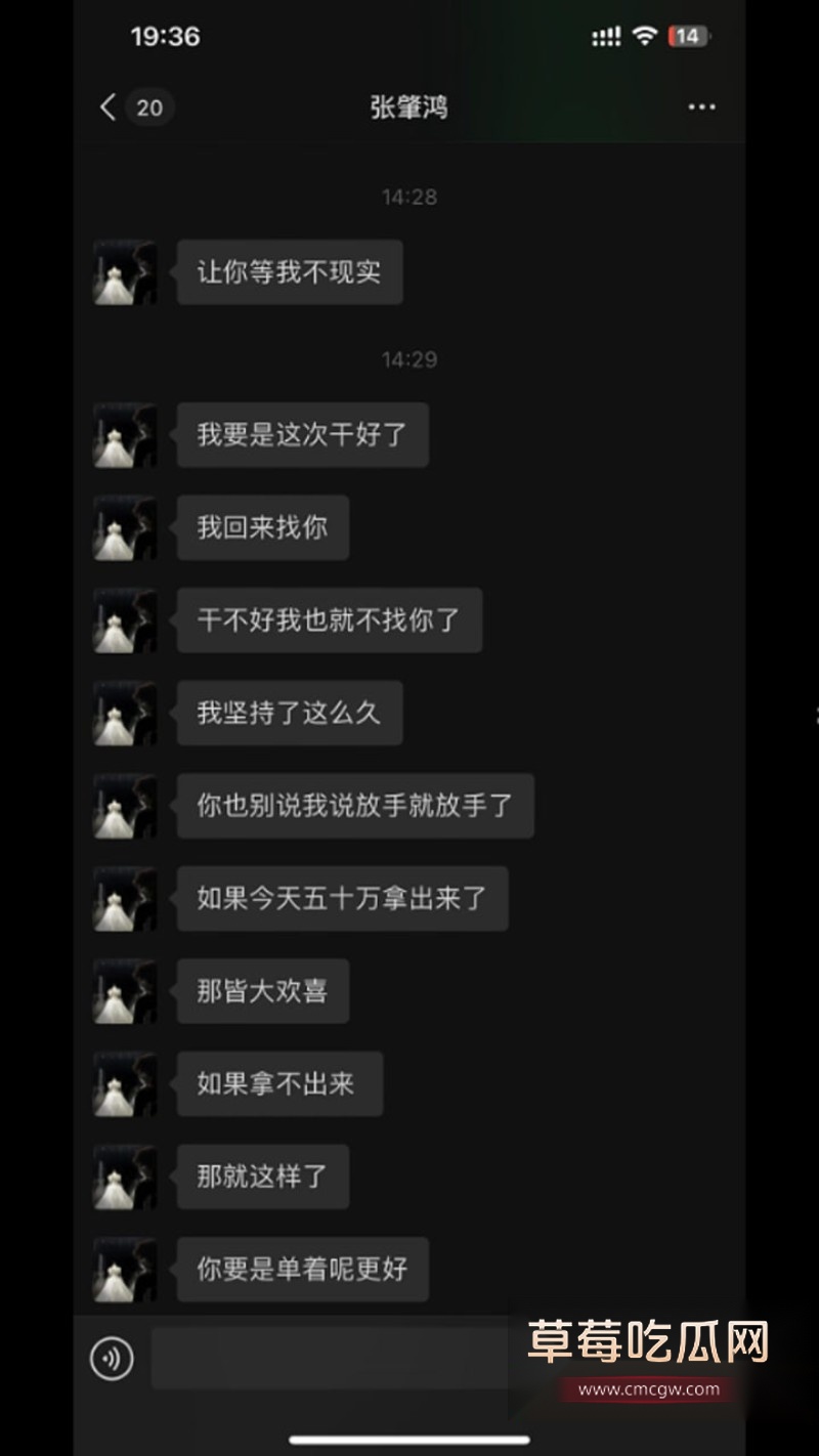 张肇鸿王冰27 张肇鸿王冰27