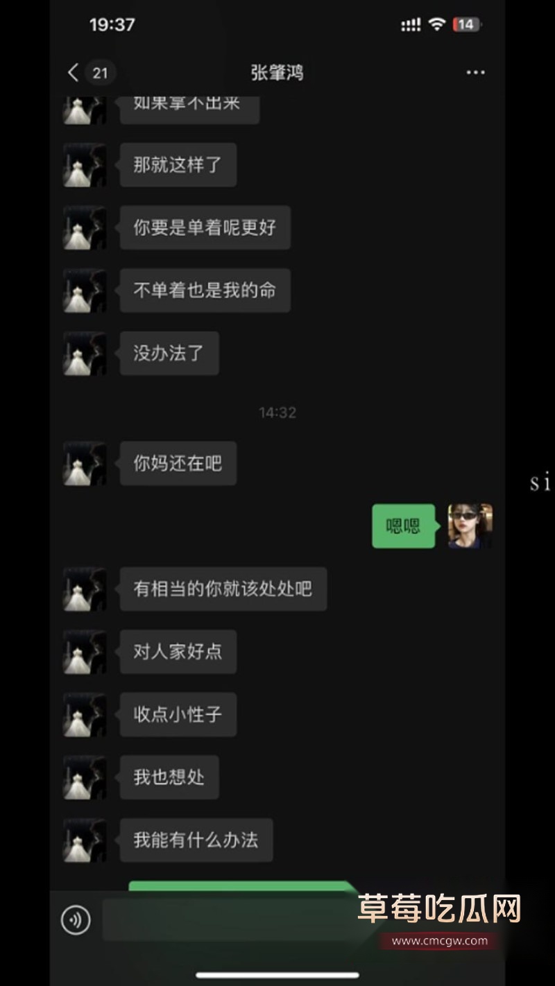 张肇鸿王冰28 张肇鸿王冰28