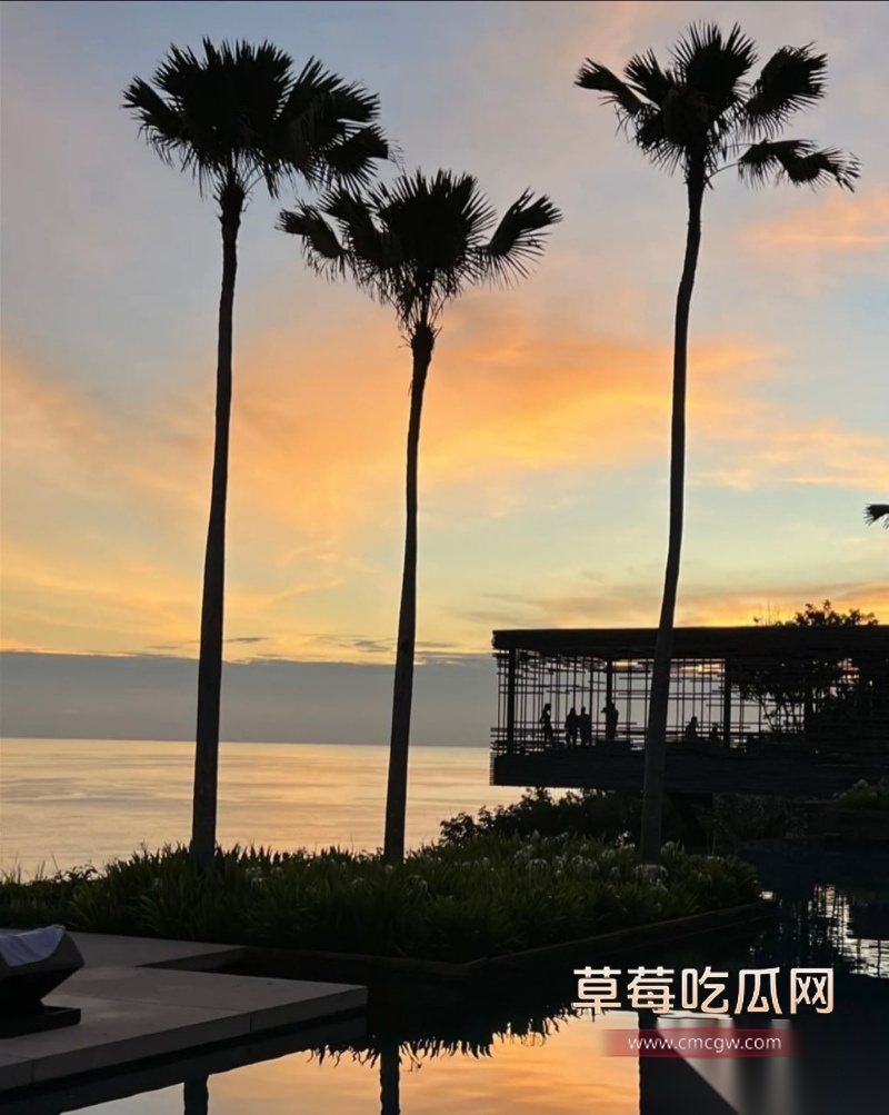 杭州小网红 郑晴滢 49 杭州小网红 郑晴滢 49