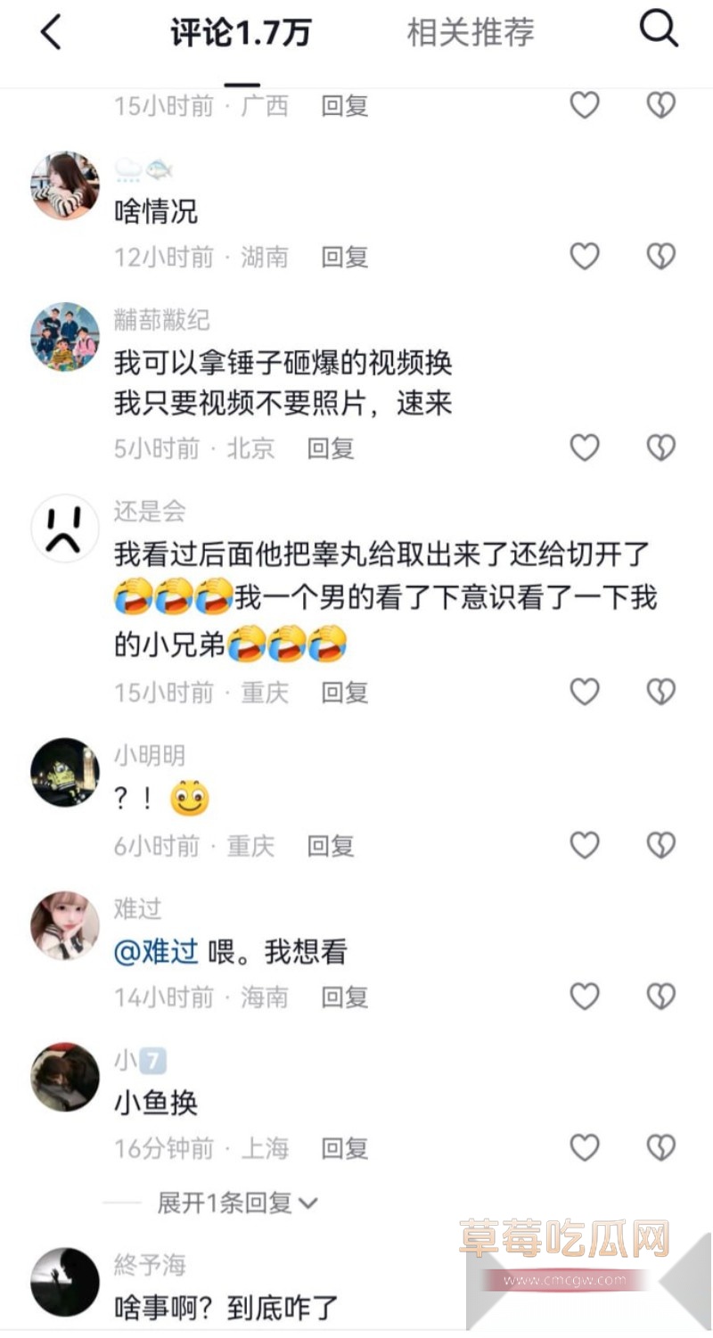 割蛋2 割蛋2