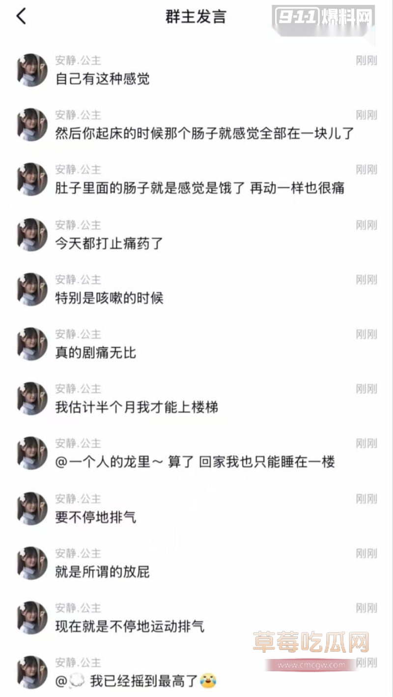 安静公主肛裂事件2 安静公主肛裂事件2