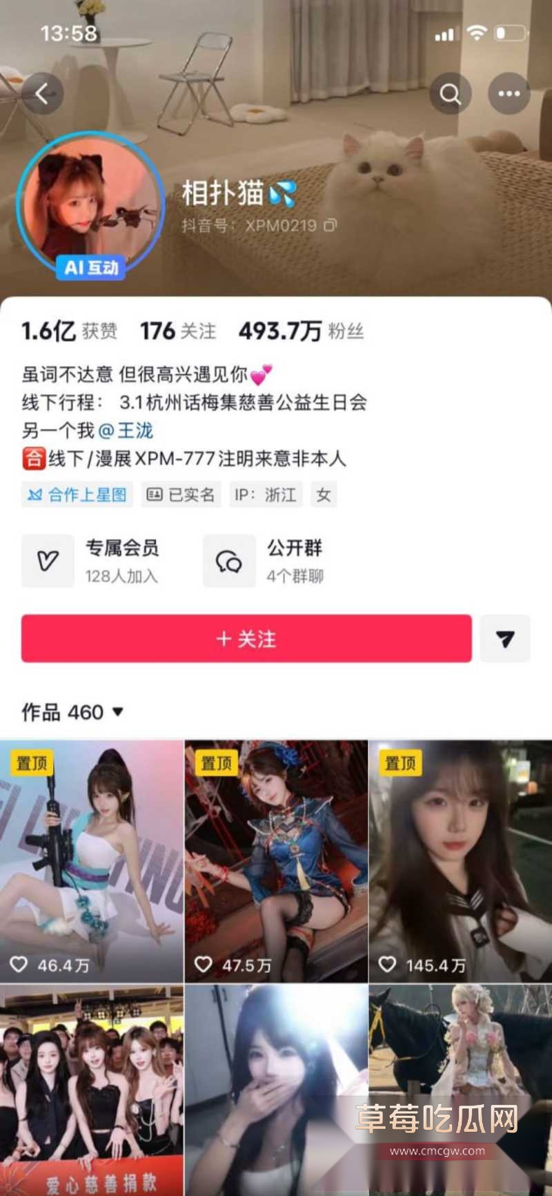 抖音500万粉网红 相扑猫 23 抖音500万粉网红 相扑猫 23