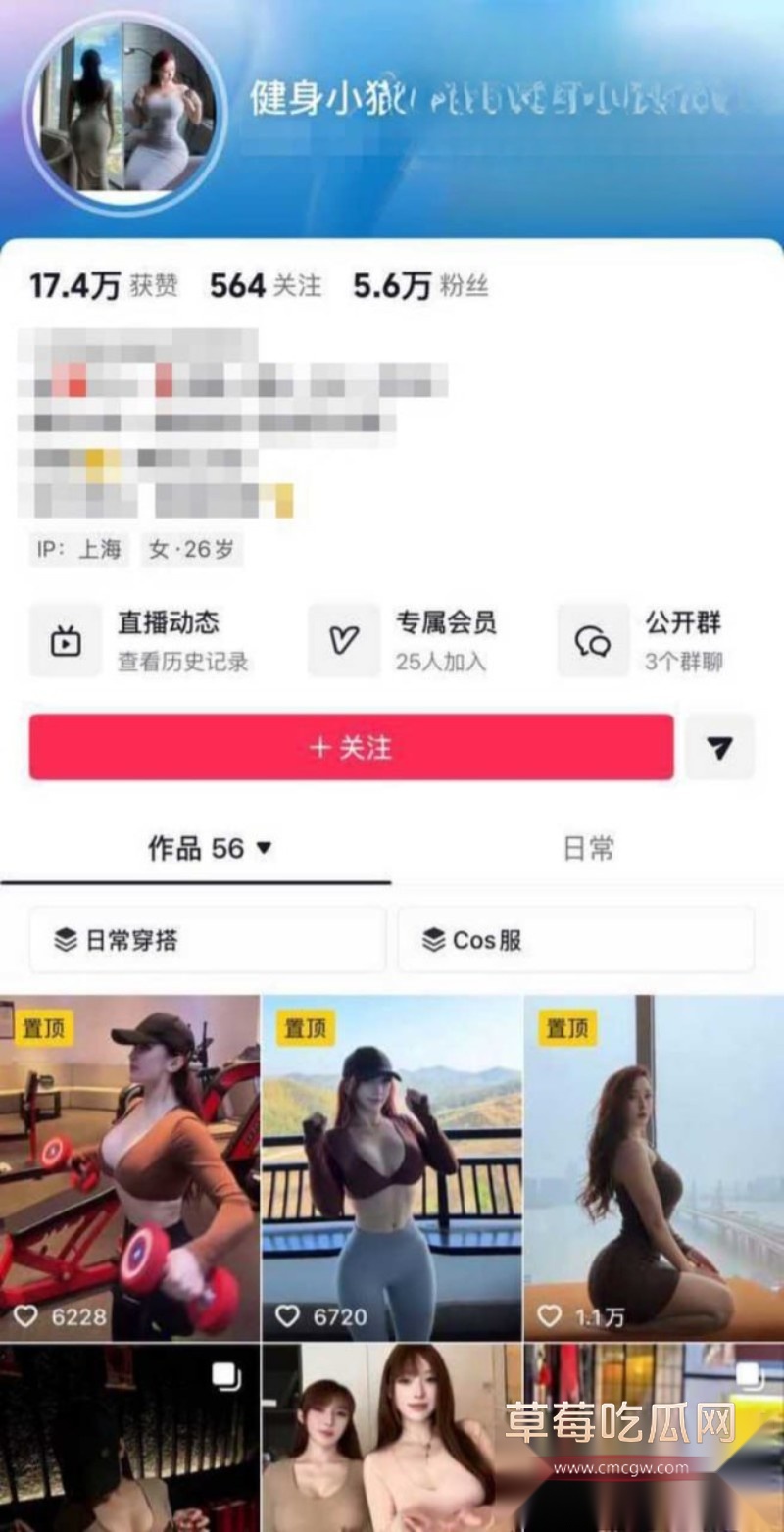 健身小猫1 健身小猫1