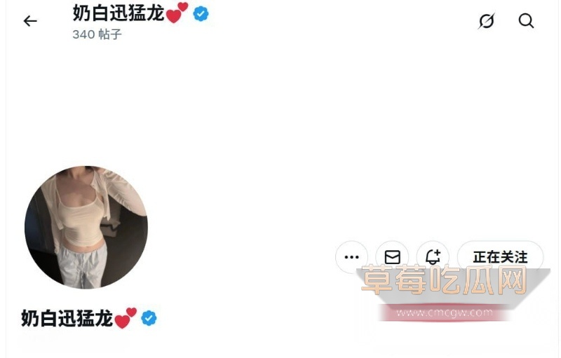 奶白迅猛龙 1 奶白迅猛龙 1