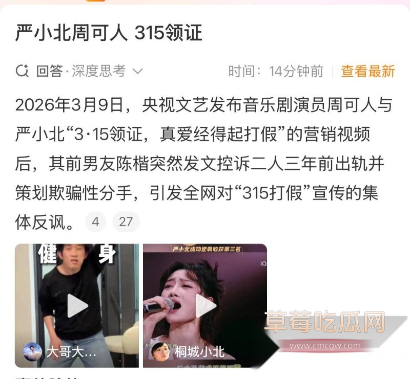 严小北7 严小北7