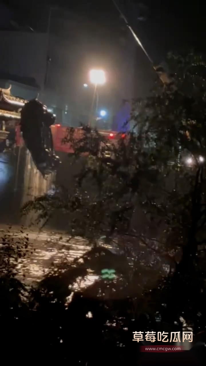 高颜值美妻新手开车操作不当疑似酒驾 致使银色SUV失控坠河7 高颜值美妻新手开车操作不当疑似酒驾 致使银色SUV失控坠河7