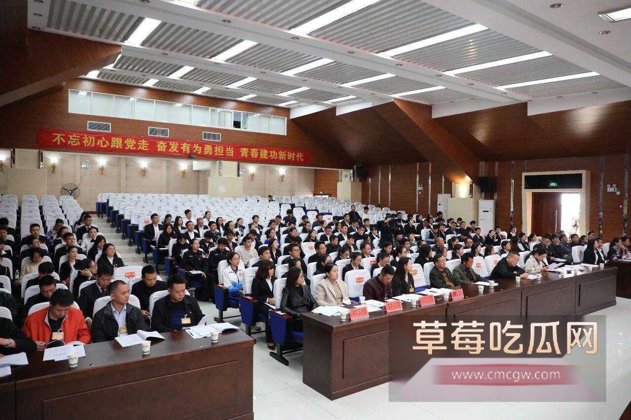 云南师宗副县长苏尔飞5 云南师宗副县长苏尔飞5