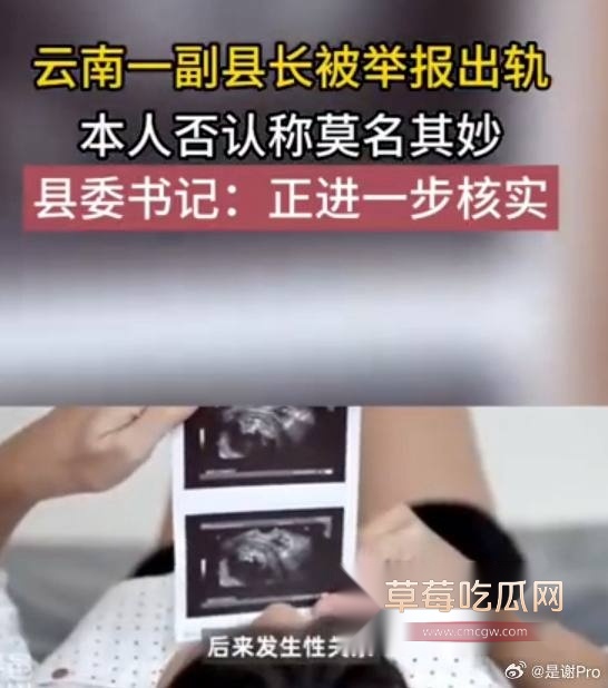 云南师宗副县长苏尔飞16 云南师宗副县长苏尔飞16