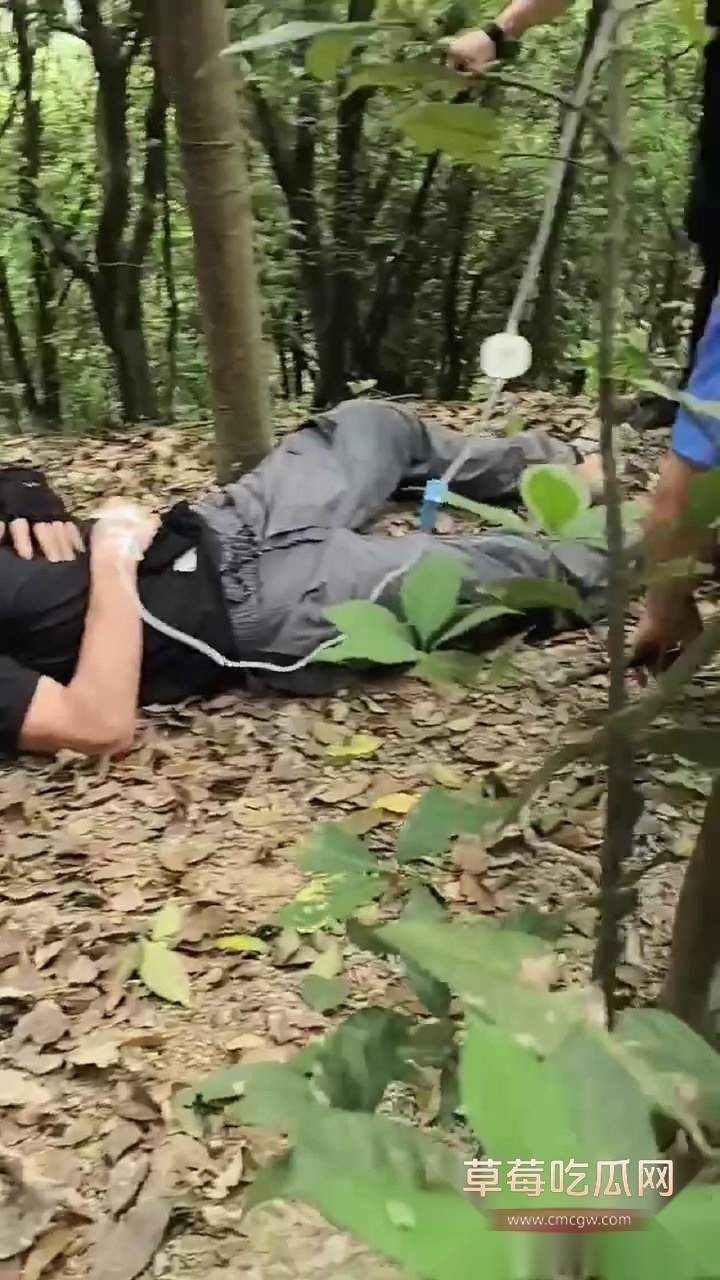 吃草中毒4 吃草中毒4