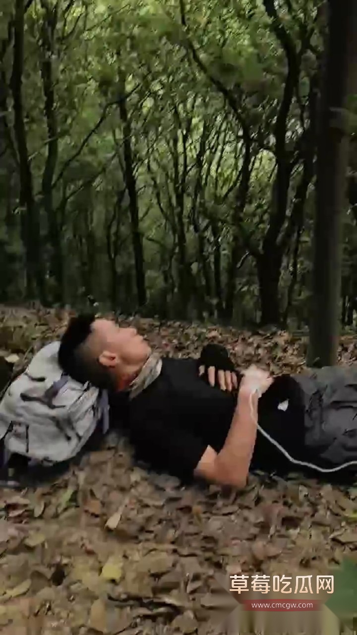 吃草中毒5 吃草中毒5