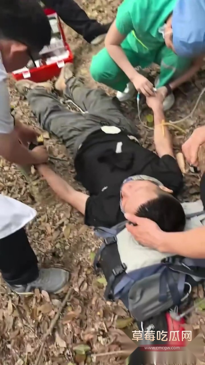 吃草中毒6 吃草中毒6