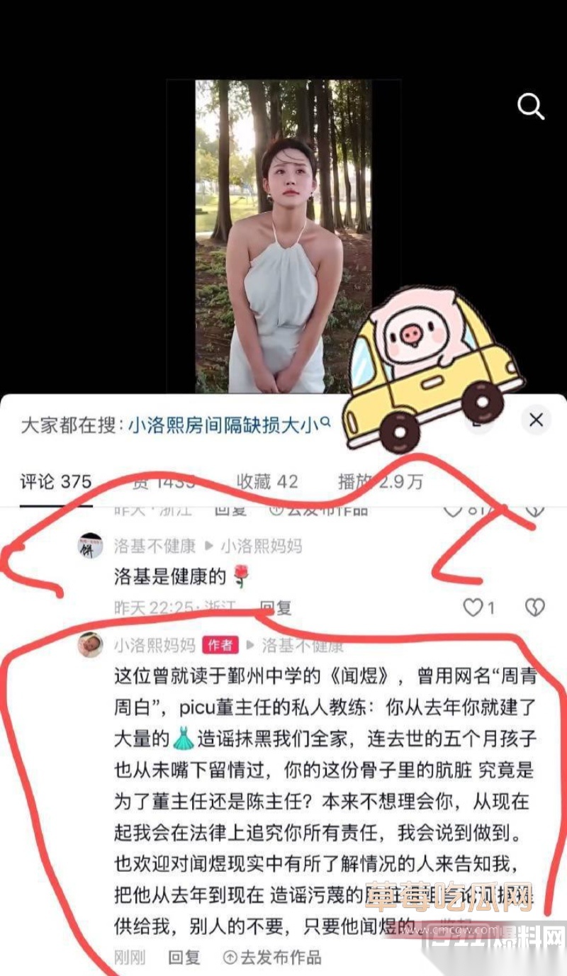 小洛熙案真凶下场 13 小洛熙案真凶下场 13