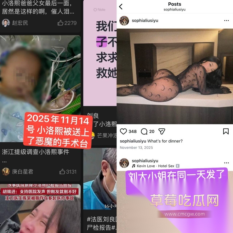 小洛熙案真凶下场 28 小洛熙案真凶下场 28
