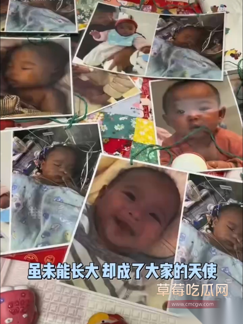 小洛熙案真凶下场 5 小洛熙案真凶下场 5