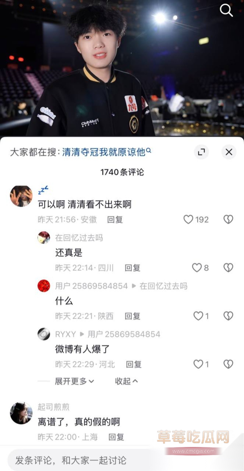 王者荣耀狼队清清 15 王者荣耀狼队清清 15
